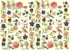papel decoupage clásico D0002M